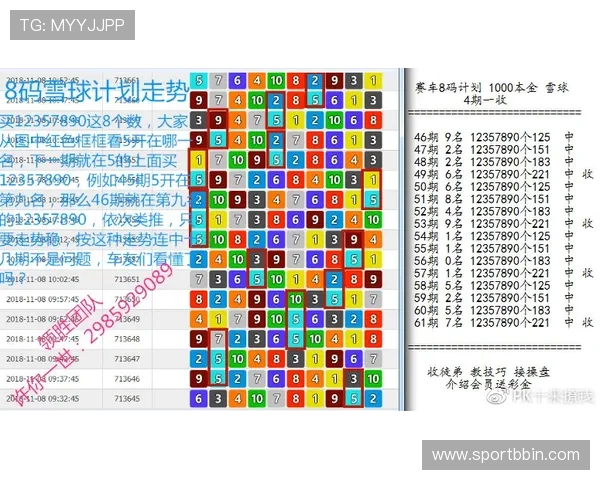 新手必看PK10赛车技巧入门指南帮助快速掌握投注技巧